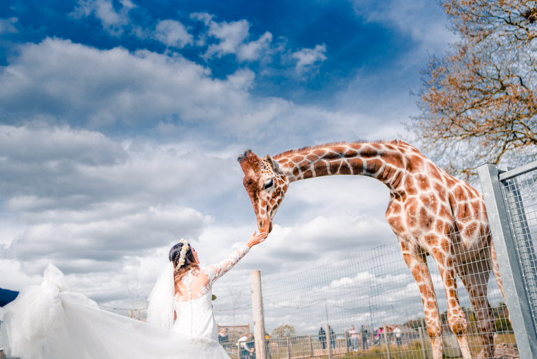 louise marcus yorkshire wildlife wedding wipdesigns photographer sheffield 92